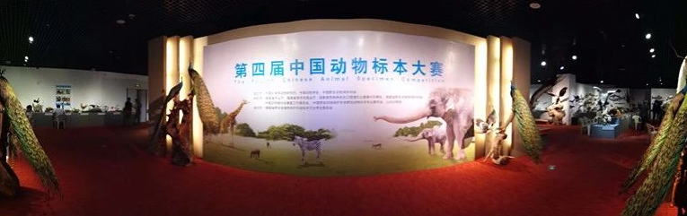 第四届中国动物标本大赛顺利举办
