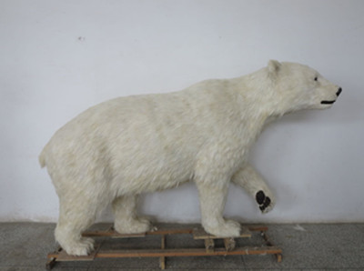 成都动物标本公司告诉您标本制作术发展简史